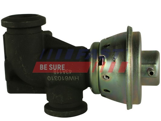 Valvola ricircolo gas scarico-EGR - FT60233 FAST