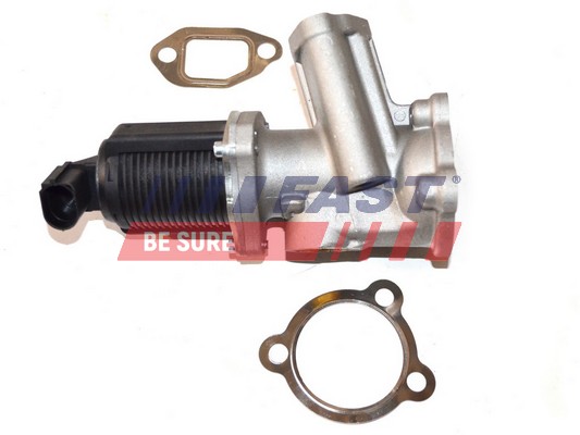 EGR Valve - FT60236 FAST