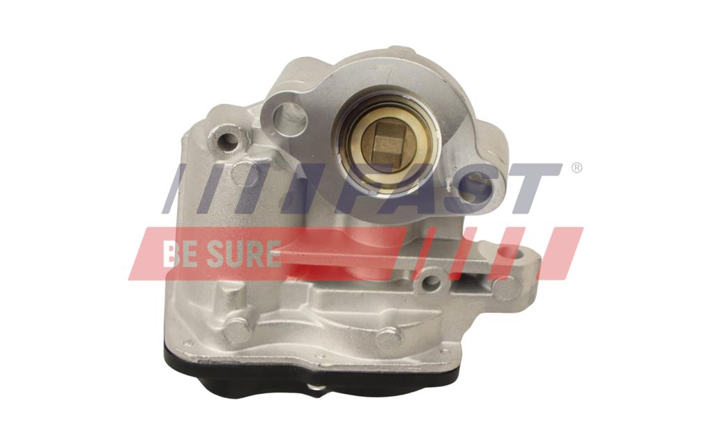 Valvola ricircolo gas scarico-EGR - FT60244 FAST