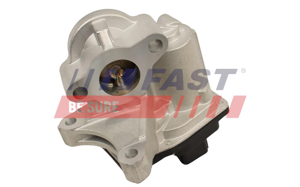 ERG vožtuvas - FT60244 FAST