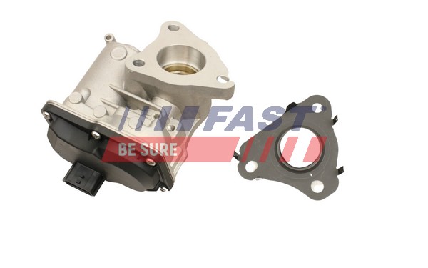 EGR Valve - FT60245 FAST