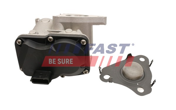 EGR Valve - FT60245 FAST