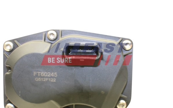 EGR Valve - FT60245 FAST