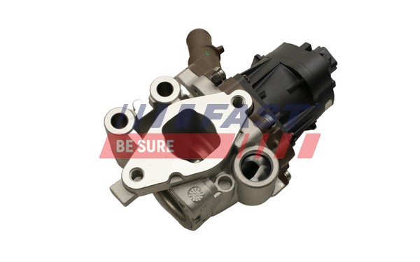 EGR Valve - FT60248 FAST