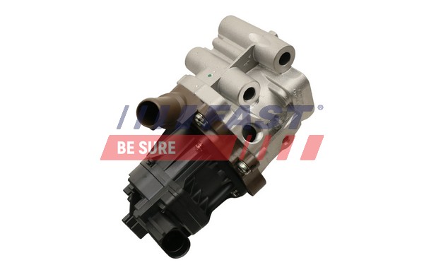 EGR Valve - FT60248 FAST