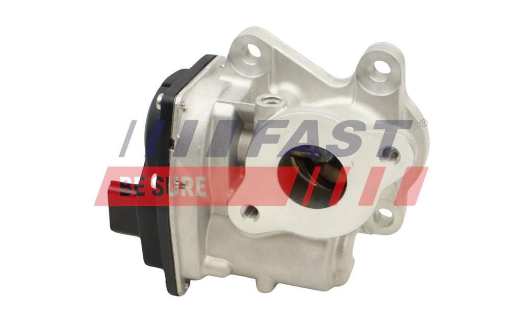 EGR Valve - FT60249 FAST