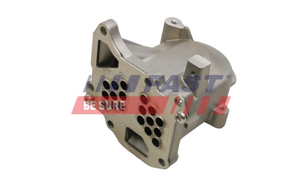 Radiatore, Ricircolo gas scarico - FT60430 FAST