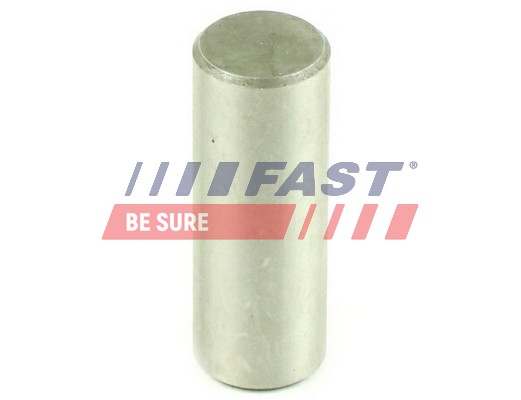 Achsstern, Ausgleichskegelrad-Differential - FT62472 FAST