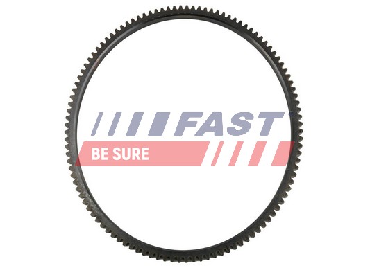 Flywheel - FT64104 FAST