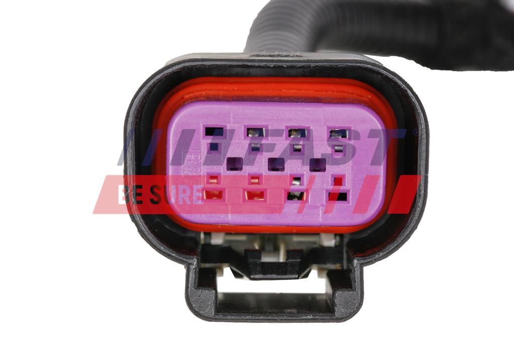 Harness, worklight - FT76103 FAST