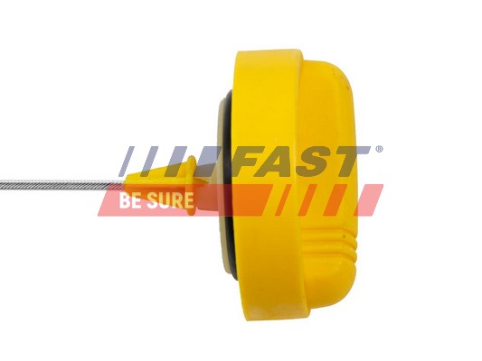 Oil Dipstick - FT80302 FAST