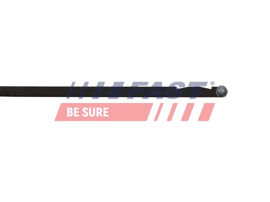 Oil Dipstick - FT80306 FAST