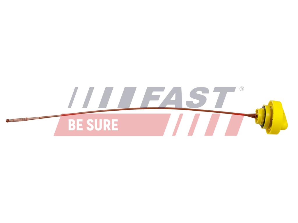 Oil Dipstick - FT80309 FAST