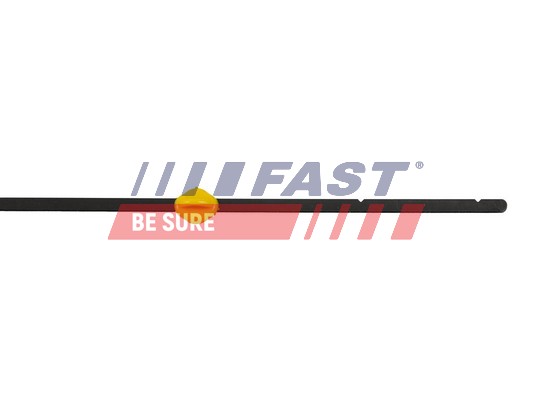 Oil Dipstick - FT80313 FAST