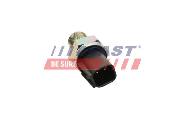 Switch, reverse light - FT81010 FAST