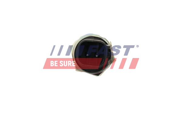 Switch, reverse light - FT81010 FAST