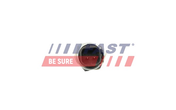 Interruttore, Luce di retromarcia - FT81011 FAST