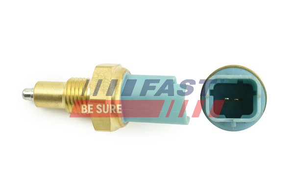 Switch, reverse light - FT81034 FAST