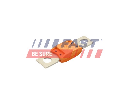 Предохранитель - FT83403 FAST