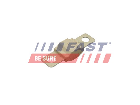 Предохранитель - FT83405 FAST