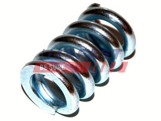 Kit montaggio, Catalizzatore - FT84126 FAST