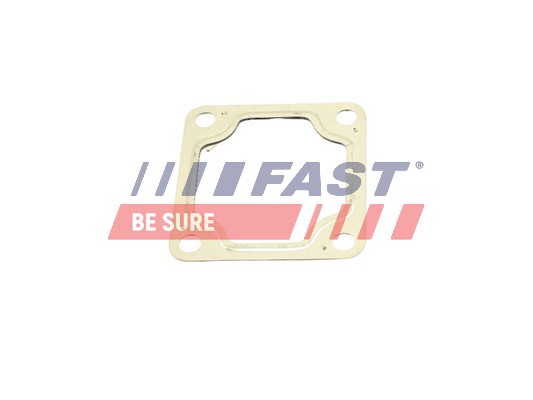 Gasket, exhaust pipe - FT84502 FAST
