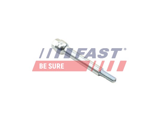 Bolt, exhaust system - FT84538 FAST