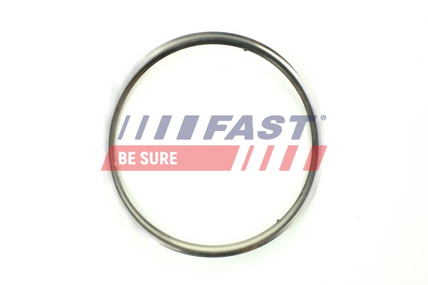 Guarnizione, Tubo gas scarico - FT84594 FAST