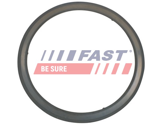Guarnizione, Tubo gas scarico - FT84595 FAST