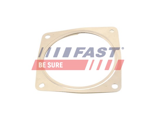 Gasket, exhaust pipe - FT84815 FAST