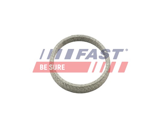 Gasket, exhaust pipe - FT84823 FAST