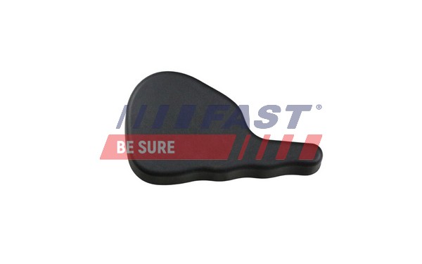 Door Handle, interior - FT94418 FAST