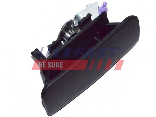 Door Handle - FT94574 FAST
