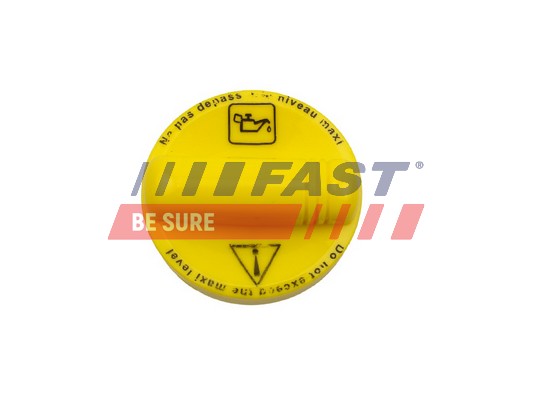 Sealing Cap, oil filling port - FT94601 FAST