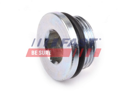 Sealing Plug, oil sump - FT94713 FAST