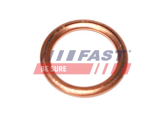 Seal Ring, oil drain plug - FT94716 FAST