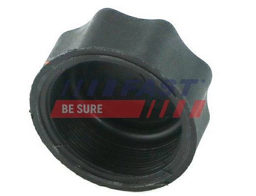 Sealing Cap, oil filling port - FT94718 FAST