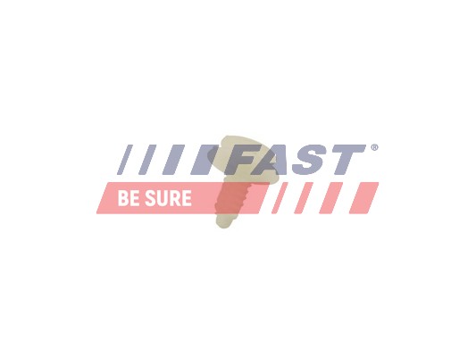 Clip, trim/protective strip - FT96311 FAST