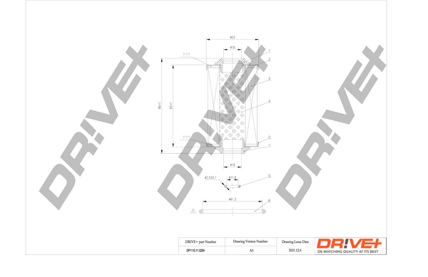 Oil Filter - DP1110.11.0254 Dr!ve+