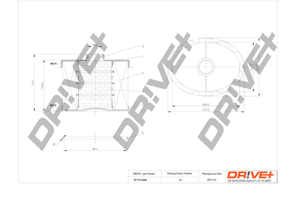 Filtro carburante - DP1110.13.0034 Dr!ve+