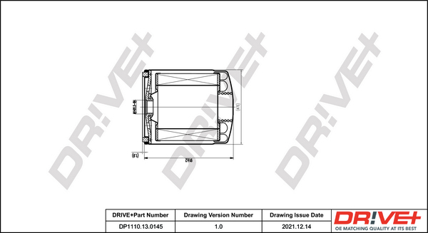 Fuel filter - DP1110.13.0145 Dr!ve+