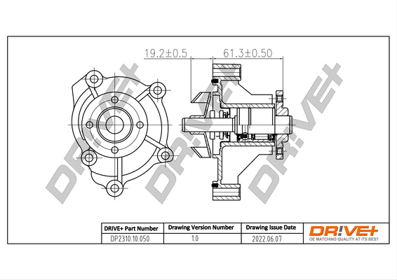 vandens siurblys - DP2310.10.050 Dr!ve+