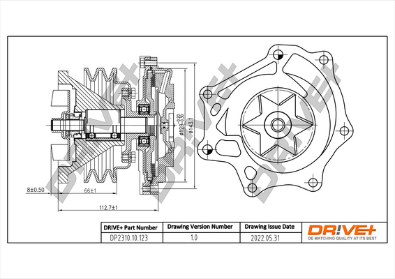 vandens siurblys - DP2310.10.123 Dr!ve+