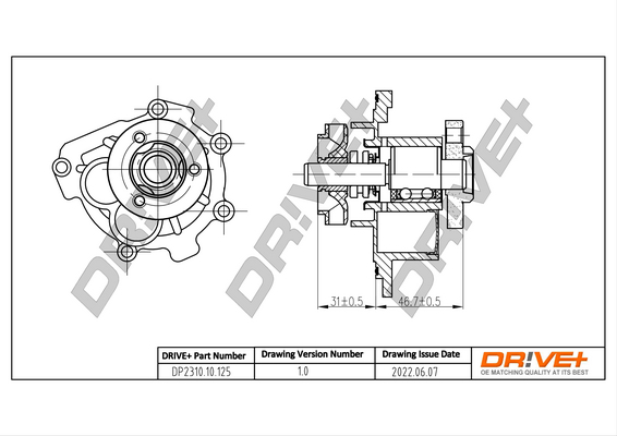 Water Pump - DP2310.10.125 Dr!ve+