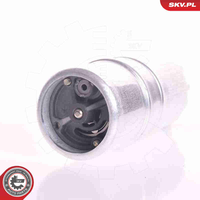 Fuel Pump - 02SKV202 ESEN SKV