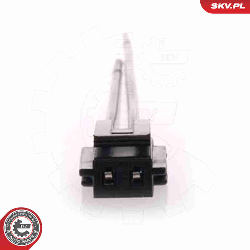 Fuel Pump - 02SKV212 ESEN SKV