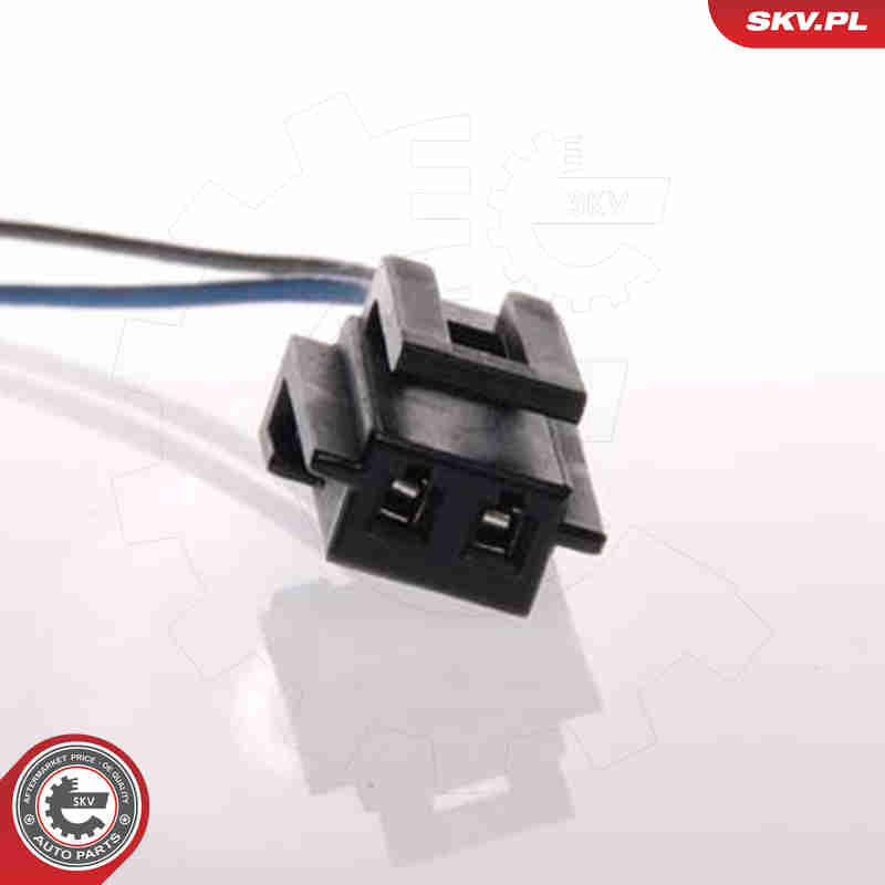 Fuel Pump - 02SKV213 ESEN SKV