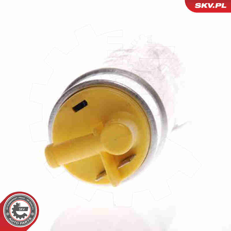 Fuel Pump - 02SKV243 ESEN SKV