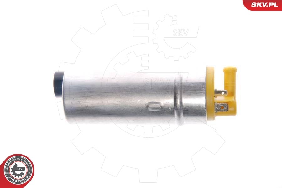 Fuel Pump - 02SKV243 ESEN SKV