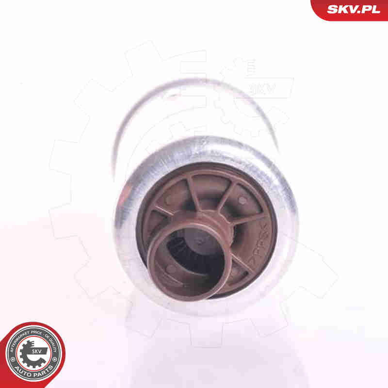Fuel Pump - 02SKV258 ESEN SKV